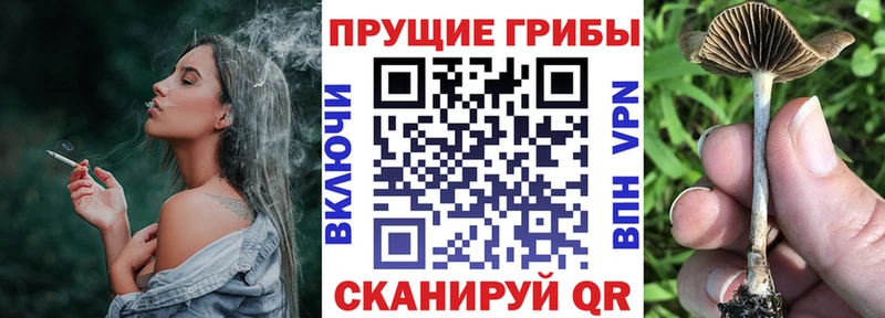Псилоцибиновые грибы Magic Shrooms  даркнет сайт  Керчь 